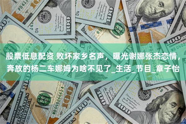 股票低息配资 败坏家乡名声，曝光谢娜张杰恋情，奔放的杨二车娜姆为啥不见了_生活_节目_章子怡