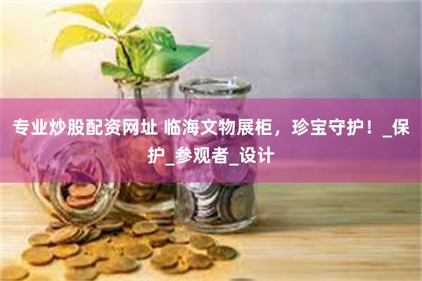 专业炒股配资网址 临海文物展柜，珍宝守护！_保护_参观者_设计