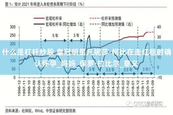 什么是杠杆炒股 皇冠明星凡妮莎·柯比在走红毯时确认怀孕_妈妈_保罗·拉比尔_意义