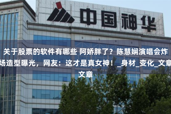 关于股票的软件有哪些 阿娇胖了？陈慧娴演唱会炸场造型曝光，网友：这才是真女神！_身材_变化_文章