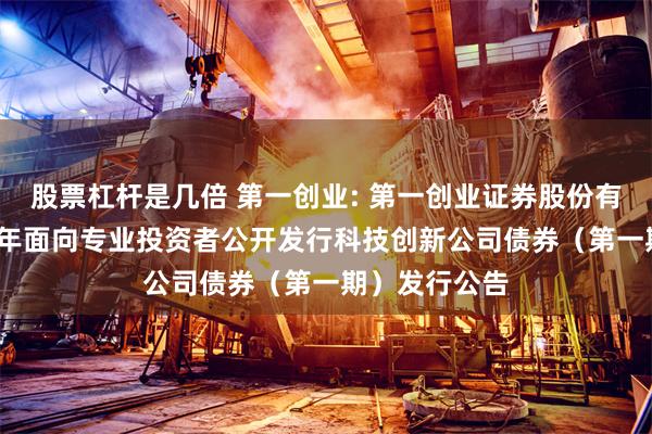 股票杠杆是几倍 第一创业: 第一创业证券股份有限公司2025年面向专业投资者公开发行科技创新公司债券(第一期)发行公告