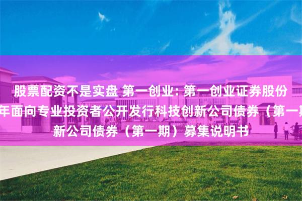 股票配资不是实盘 第一创业: 第一创业证券股份有限公司2025年面向专业投资者公开发行科技创新公司债券(第一期)募集说明书