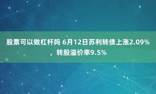 股票可以做杠杆吗 6月12日苏利转债上涨2.09%，转股溢价率9.5%