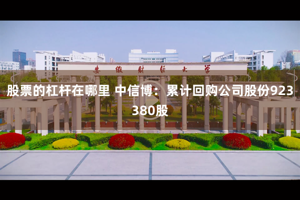 股票的杠杆在哪里 中信博：累计回购公司股份923380股