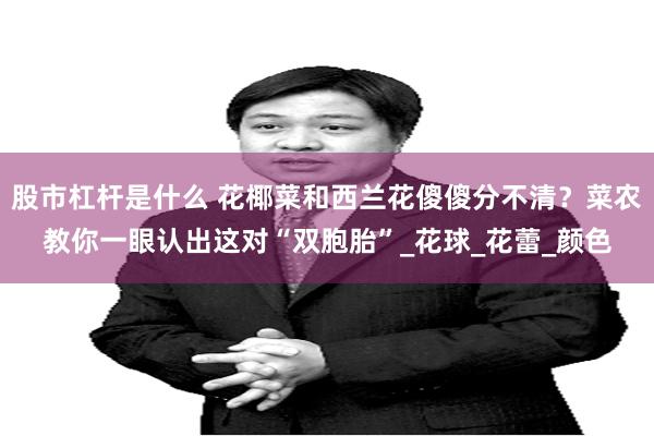 股市杠杆是什么 花椰菜和西兰花傻傻分不清？菜农教你一眼认出这对“双胞胎”_花球_花蕾_颜色