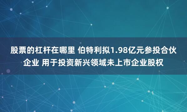 股票的杠杆在哪里 伯特利拟1.98亿元参投合伙企业 用于投资新兴领域未上市企业股权
