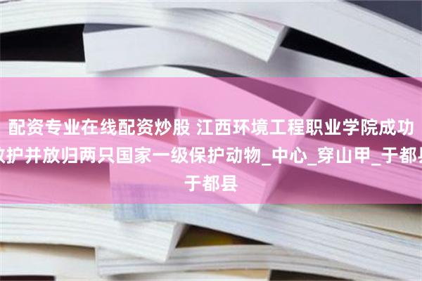 配资专业在线配资炒股 江西环境工程职业学院成功救护并放归两只国家一级保护动物_中心_穿山甲_于都县