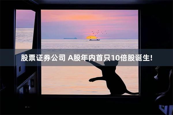 股票证券公司 A股年内首只10倍股诞生!