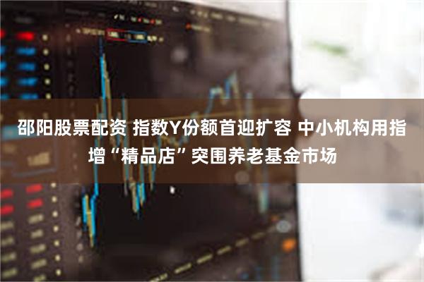 邵阳股票配资 指数Y份额首迎扩容 中小机构用指增“精品店”突围养老基金市场
