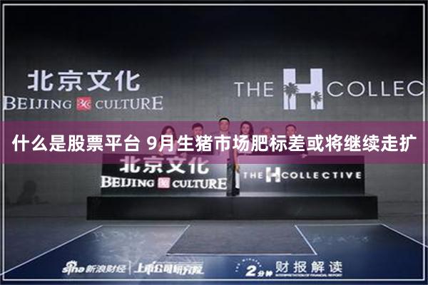 什么是股票平台 9月生猪市场肥标差或将继续走扩
