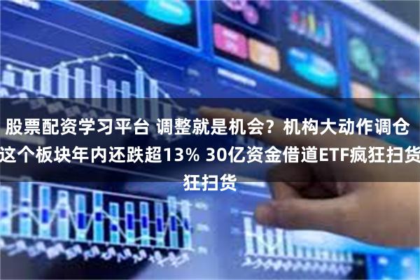 股票配资学习平台 调整就是机会?机构大动作调仓 这个板块年内还跌超13% 30亿资金借道ETF疯狂扫货