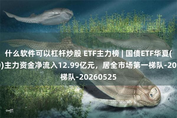 什么软件可以杠杆炒股 ETF主力榜 | 国债ETF华夏(511100)主力资金净流入12.99亿元，居全市场第一梯队-20260525