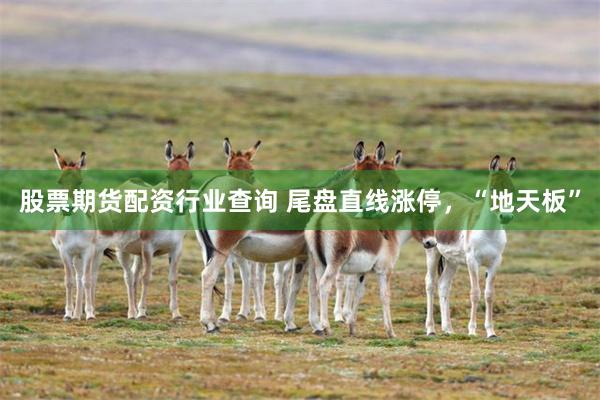 股票期货配资行业查询 尾盘直线涨停，“地天板”
