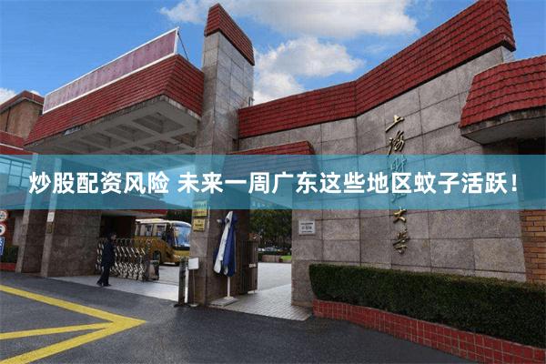 炒股配资风险 未来一周广东这些地区蚊子活跃！