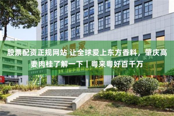 股票配资正规网站 让全球爱上东方香料，肇庆高要肉桂了解一下｜粤来粤好百千万
