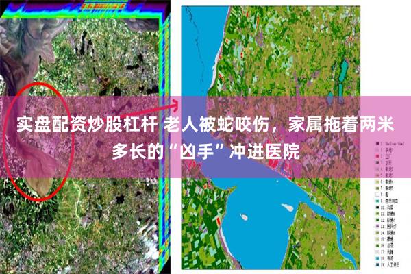 实盘配资炒股杠杆 老人被蛇咬伤，家属拖着两米多长的“凶手”冲进医院
