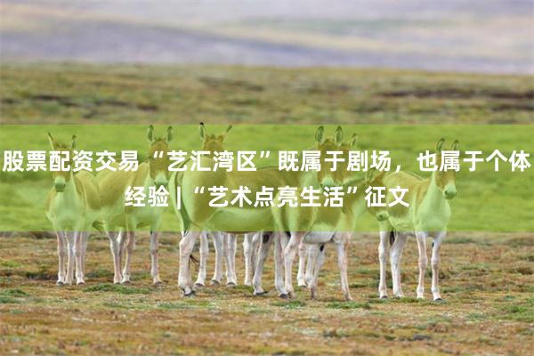 股票配资交易 “艺汇湾区”既属于剧场，也属于个体经验 | “艺术点亮生活”征文