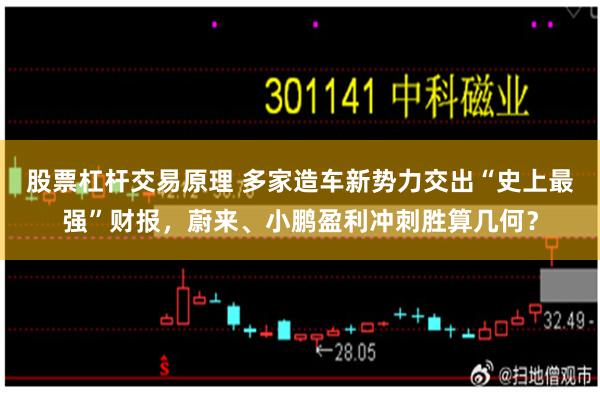股票杠杆交易原理 多家造车新势力交出“史上最强”财报，蔚来、小鹏盈利冲刺胜算几何？