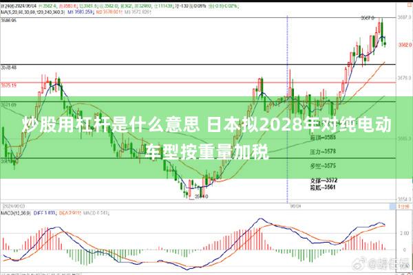 炒股用杠杆是什么意思 日本拟2028年对纯电动车型按重量加税