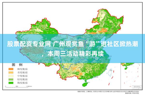 股票配资专业网 广州观赏鱼“游”进社区掀热潮，本周三活动精彩再续
