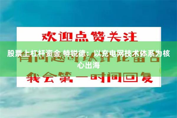 股票上杠杆资金 特锐德：以充电网技术体系为核心出海